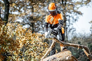 Picture of a worker sawing up a fallen tree after a landslide